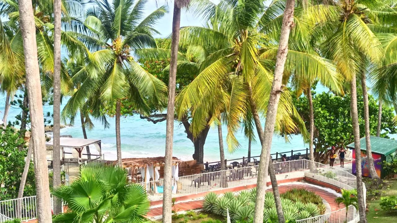 Grand Studio Les Pieds Dans L'Eau, Centre Ville Le Gosier  Exterior foto