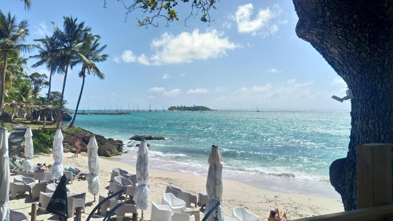 Grand Studio Les Pieds Dans L'Eau, Centre Ville Le Gosier  Exterior foto