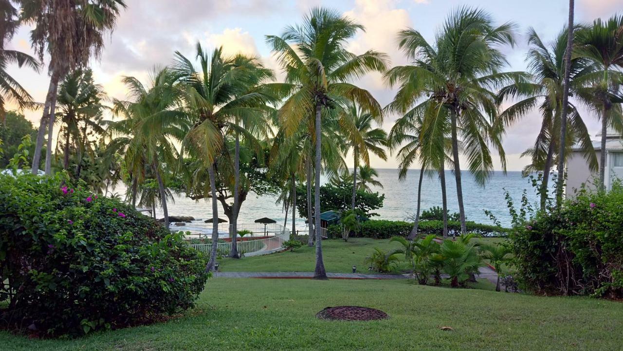 Grand Studio Les Pieds Dans L'Eau, Centre Ville Le Gosier  Exterior foto