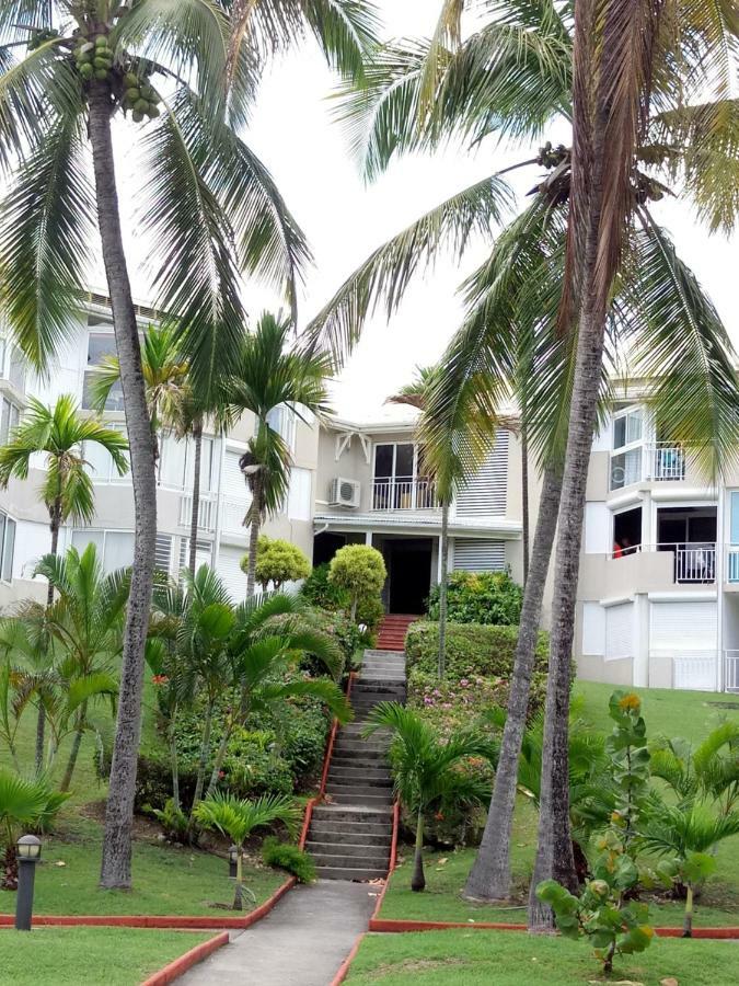 Grand Studio Les Pieds Dans L'Eau, Centre Ville Le Gosier  Exterior foto